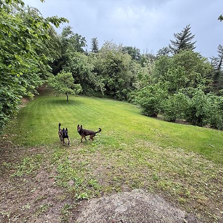 Rocchetta Tanaro Bnb Dog And Friend מראה חיצוני תמונה