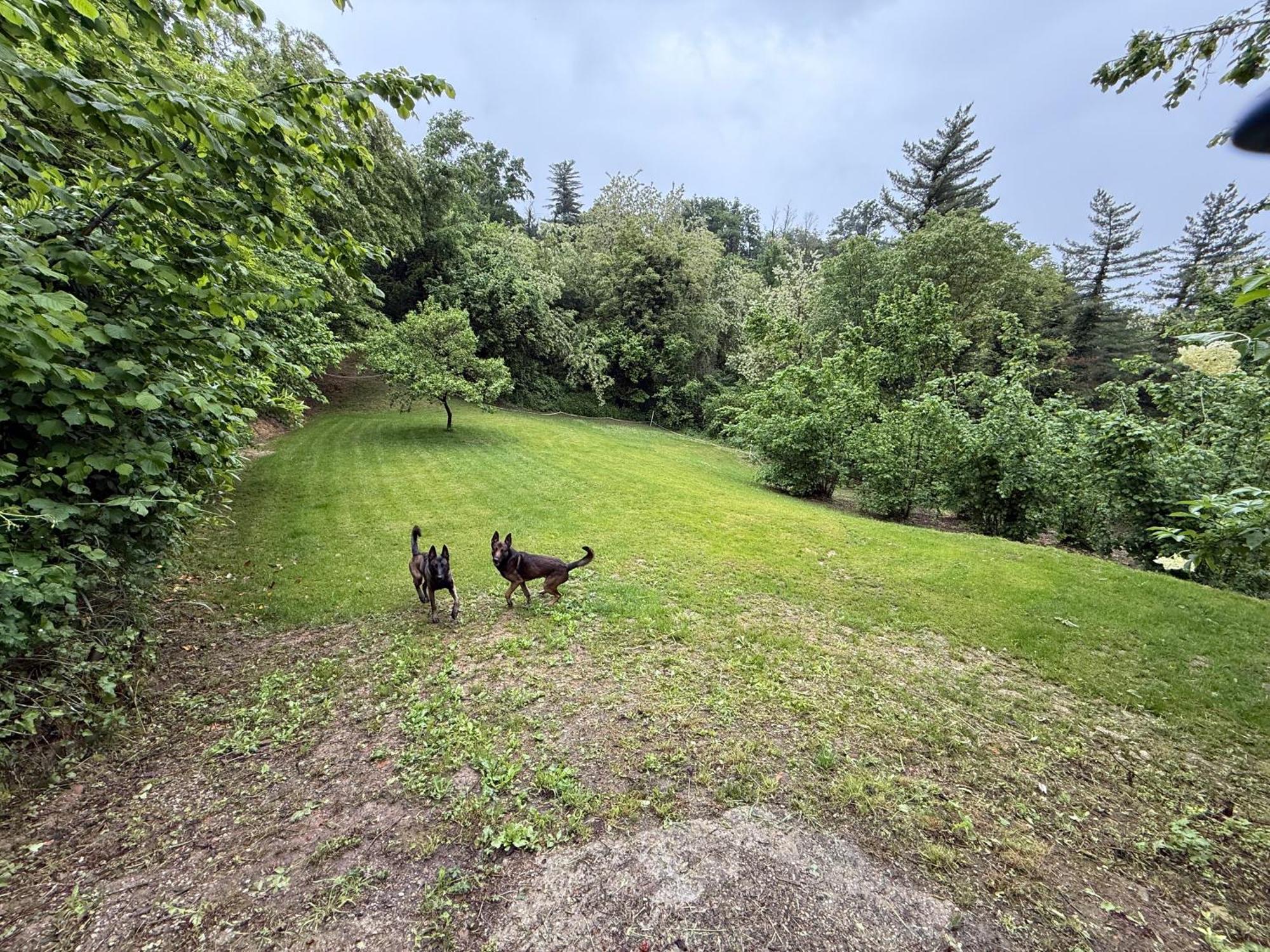 Rocchetta Tanaro Bnb Dog And Friend מראה חיצוני תמונה
